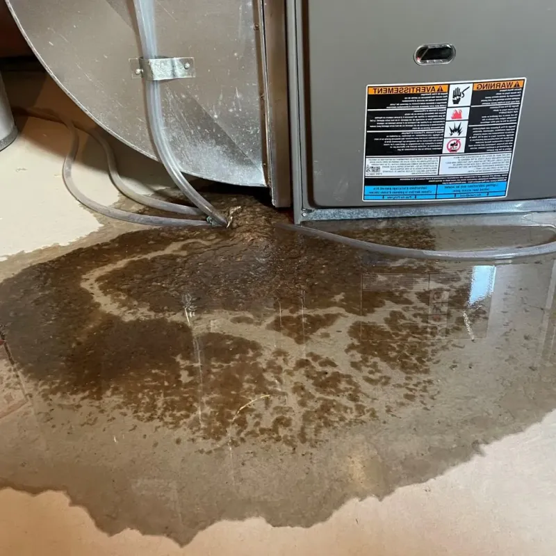 Pipe Burst and Leak Restoration in Kiryas Joel, NY
